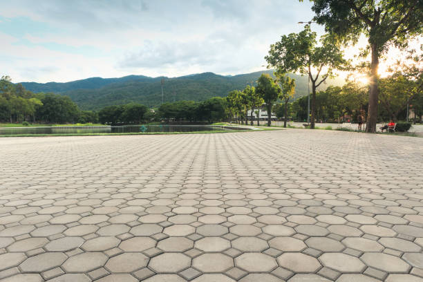 Best Residential Paver Driveway  in Orange Cove, CA